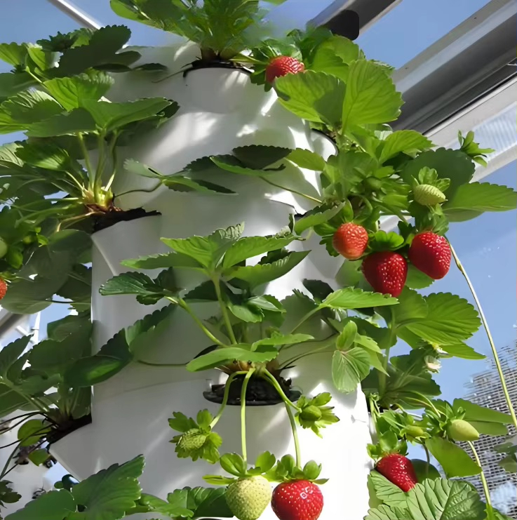 Sistema modulare idroponico a  - Urban Farming Gardening recensione e prezzo
