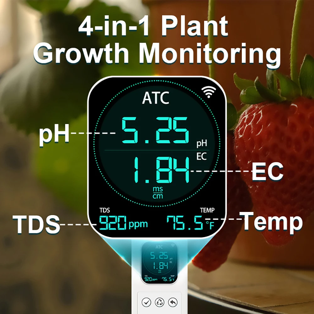 Kactoily Kit per l'allevamento - Urban Farming Gardening recensione e prezzo
