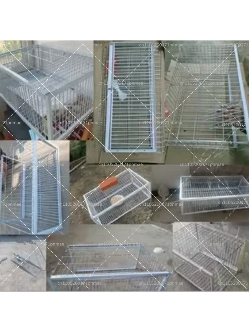 Trappola Professionale Multifu - Urban Farming Gardening recensione e prezzo